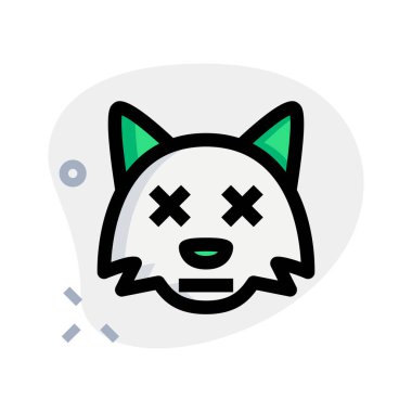 Kurye için şaşı gözlü vahşi tilki suratı