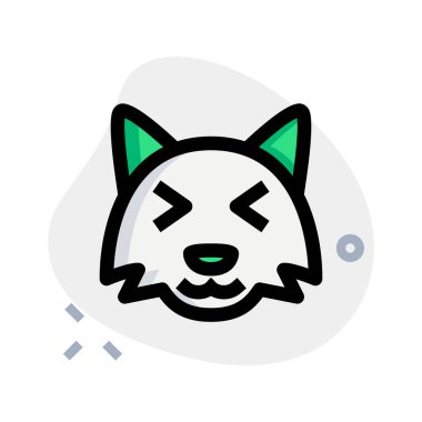 Aynı anda sırıtan zeki tilki şaşı.