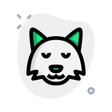 İzole edilmiş bir yerde düşünceli tilki ifadesi