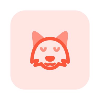 İzole edilmiş bir yerde düşünceli tilki ifadesi