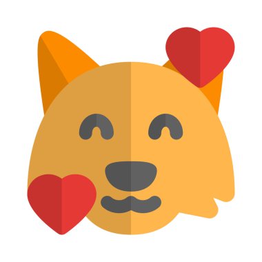 Kalpler vahşi tilki surat ifadeleri etrafında dönüyor.