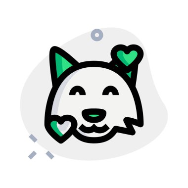 Kalpler vahşi tilki surat ifadeleri etrafında dönüyor.