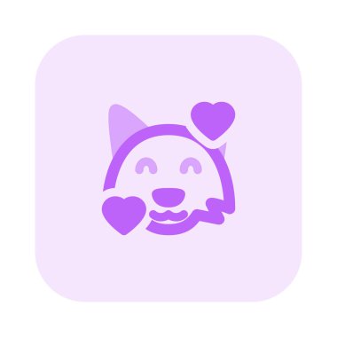 Kalpler vahşi tilki surat ifadeleri etrafında dönüyor.