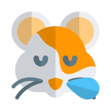 Burundan ter damlayan hamster horlaması