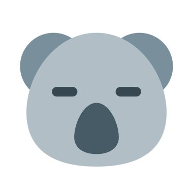 Sosyal medyada paylaşılan büyük gözlü Koala