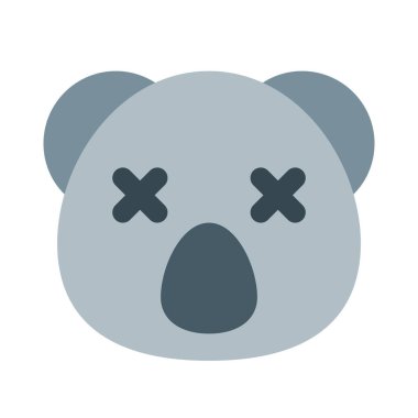 Koala nötr sahnede gözleri kapalı