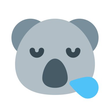 Koala burundan ter damlalarıyla horluyor.