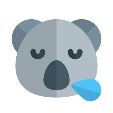 Koala burundan ter damlalarıyla horluyor.