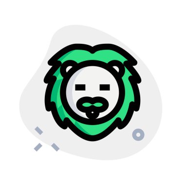 Sosyal medyada paylaşılan kocaman gözlü gülen kurbağa.