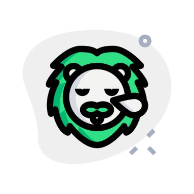 Aslan burundan ter damlatarak horluyor