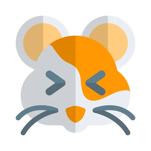 Hamsterschielen Und Grinsende Augen Emoticon Gesichtsausdruck — Stockvektor