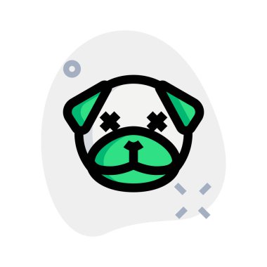 Tarafsız sahnede gözleri şaşı bir köpek.