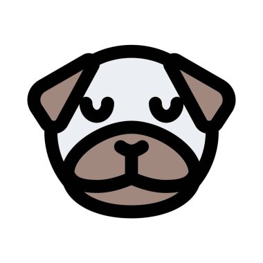 İzole bir yerde düşünceli pug köpek ifadesi