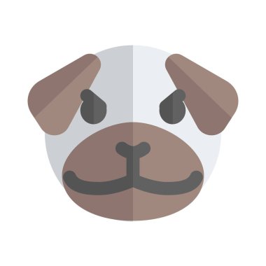 pug dog somurtuyor yüz ifadesi simgesi kuryede paylaşıldı