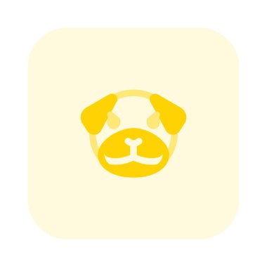 pug dog somurtuyor yüz ifadesi simgesi kuryede paylaşıldı