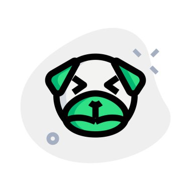 üzgün köpek şaşı gözler yüz ifadesi.