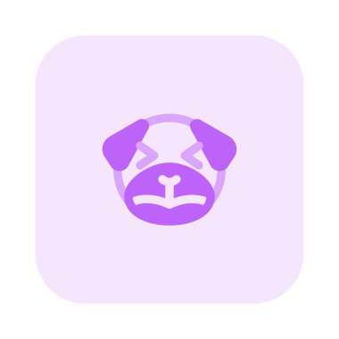 üzgün köpek şaşı gözler yüz ifadesi.