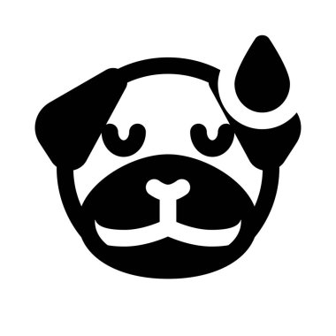 Pug dog soğuk terle yorgun yüz ifadesi
