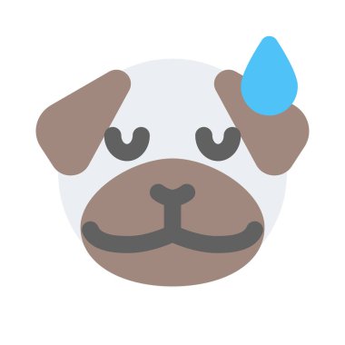 Pug dog soğuk terle yorgun yüz ifadesi