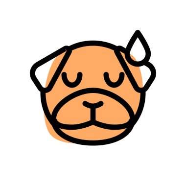 Pug dog soğuk terle yorgun yüz ifadesi