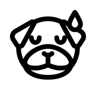 Pug dog soğuk terle yorgun yüz ifadesi