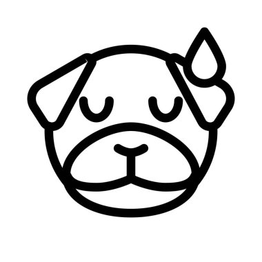 Pug dog soğuk terle yorgun yüz ifadesi