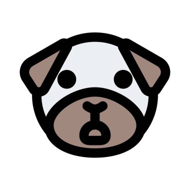 Şok ifadesi boksör köpek ifadesi geniş ağızlı.