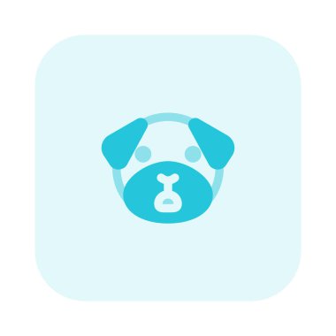 Şok ifadesi boksör köpek ifadesi geniş ağızlı.