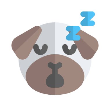 Ulakta paylaşılan horlayan pug köpeği