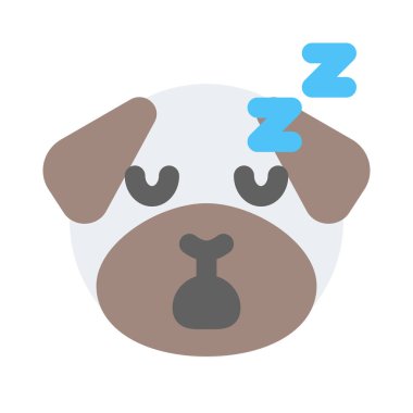 Ulakta paylaşılan horlayan pug köpeği