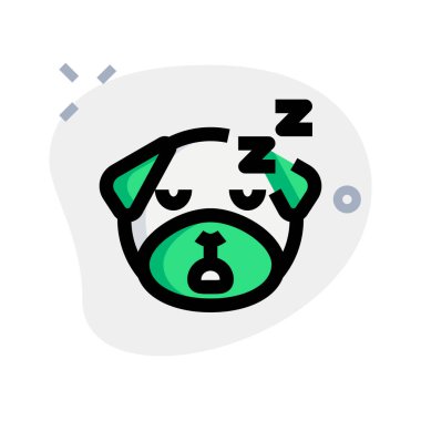 Ulakta paylaşılan horlayan pug köpeği