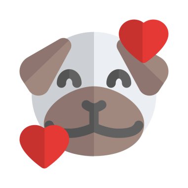 Gülümseyen pug dog kalp yüz ifadeleri etrafında dönüyor