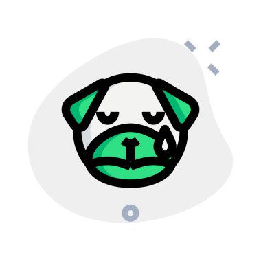 pug dog gözyaşları akarken ağlayan resim temsilcisi