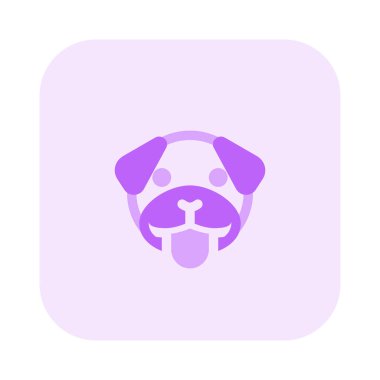 pug dog dili sıkışmış emoji, alaycı ve komik
