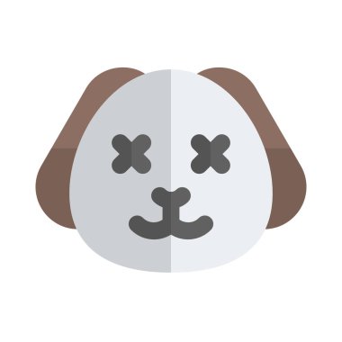 Yavru köpek nötr sahnede şaşı gözlerle