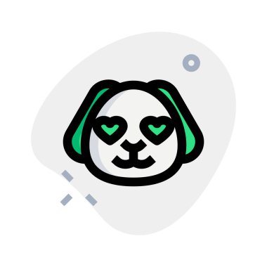 Âşık gözlü, mutlu, romantik köpek yavrusu.