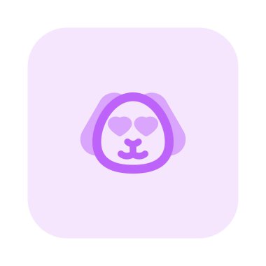 Âşık gözlü, mutlu, romantik köpek yavrusu.