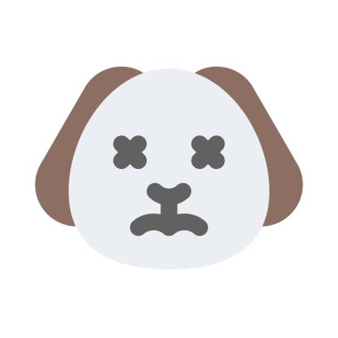 Gözler şaşı ve nötr köpek yüz ifadesi.