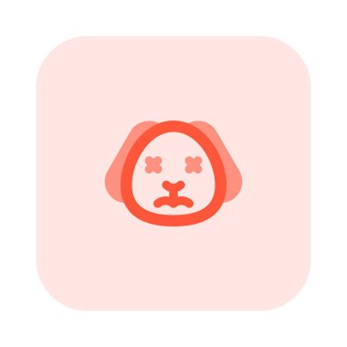 Gözler şaşı ve nötr köpek yüz ifadesi.