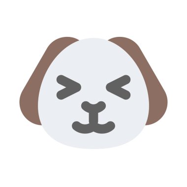 Köpek yavrusu şaşı ve sırıtan gözler yüz ifadesi.