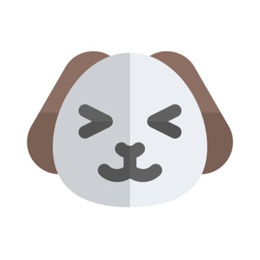 Köpek yavrusu şaşı ve sırıtan gözler yüz ifadesi.