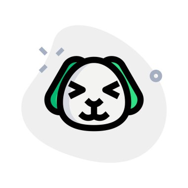 Köpek yavrusu şaşı ve sırıtan gözler yüz ifadesi.