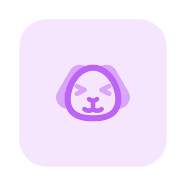 Köpek yavrusu şaşı ve sırıtan gözler yüz ifadesi.