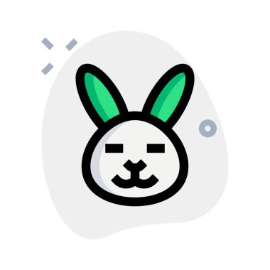 Gözleri kapalı gülümseyen tavşan sosyal medyada paylaştı