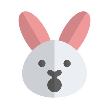 Şok yüz ifadesi tavşan ifadesi ve geniş bir ağız.