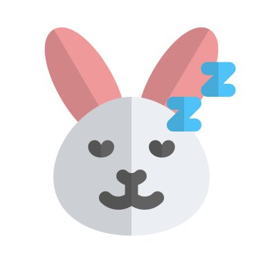 Uyuyan tavşan ifadesi kuryede paylaşılan resimli bir sunum