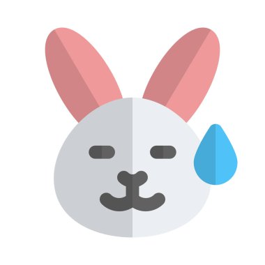 Soğuk terli vahşi tavşan yüz ifadesi