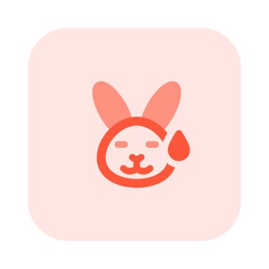 Soğuk terli vahşi tavşan yüz ifadesi