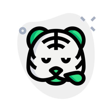 Burnundan ter damlayan kaplan horlaması.