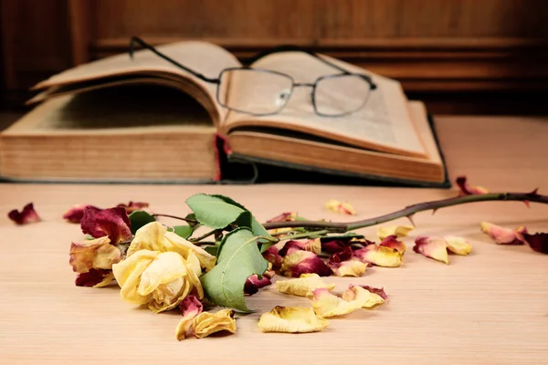 Rose sèche et le vieux livre — Photo
